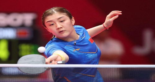 克雷莫内塞3-1博洛尼亚，瓦尔迪双响，帕耶罗破门